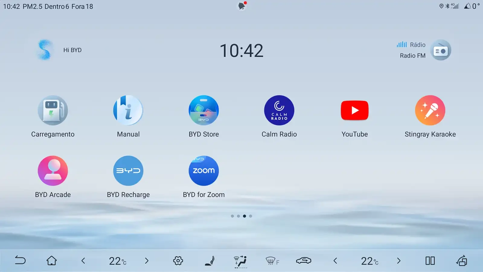 BYD Central multimedia 2025